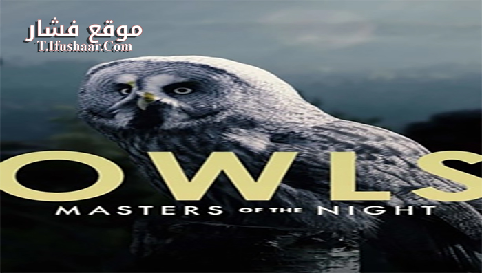 فيلم Masters of the Night 2020 مترجم