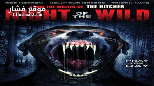 فيلم Night of the Wild 2015 مترجم