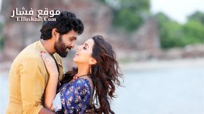 فيلم Pakka 2018 مترجم