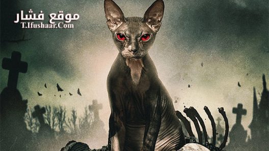 فيلم Pet Graveyard 2019 مترجم