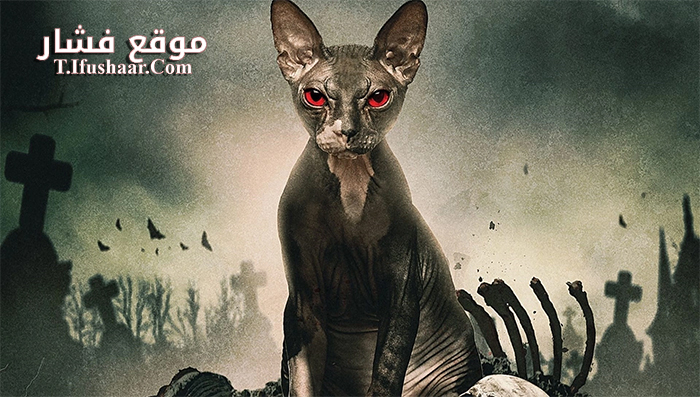 فيلم Pet Graveyard 2019 مترجم
