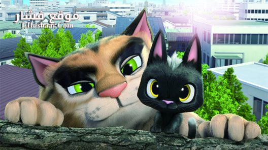 فيلم Rudolf the Black Cat 2016 مترجم