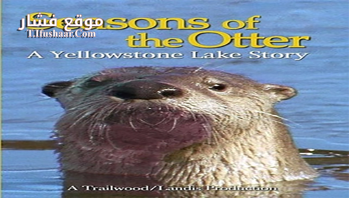 فيلم Seasons of the Otter 2020 مترجم