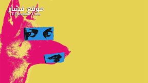 فيلم Shaadi Mein Zaroor Aana 2017 مترجم