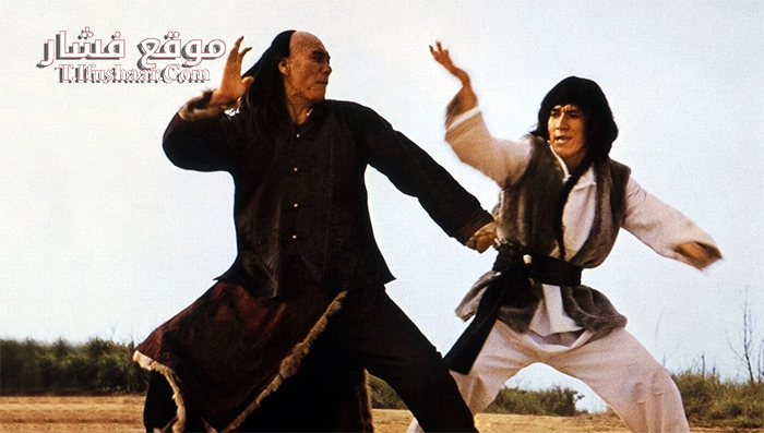 فيلم Snake and Crane Arts of Shaolin 1978 مترجم