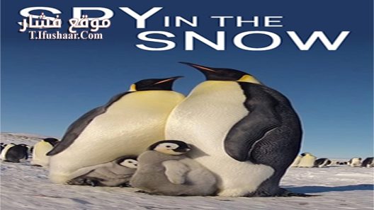 فيلم Spy in the Snow 2018 مترجم