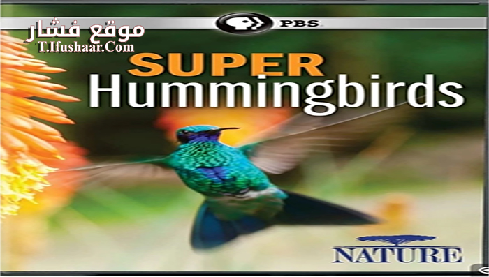 فيلم Super Hummingbirds 2016 مترجم