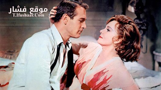 فيلم Sweet Bird Of Youth 1962 مترجم