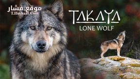 فيلم Takaya Lone Wolf 2019 مترجم