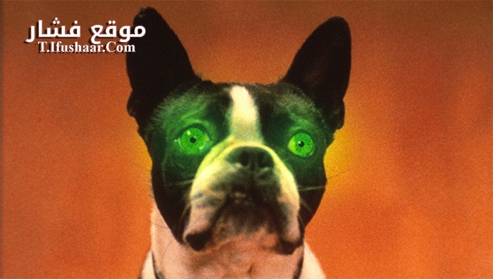 فيلم The Convent 2000 مترجم