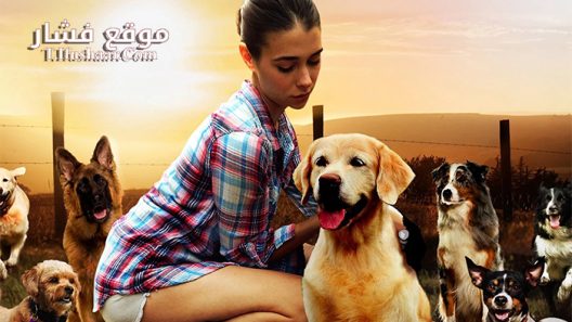 فيلم The Dog Lover 2016 مترجم