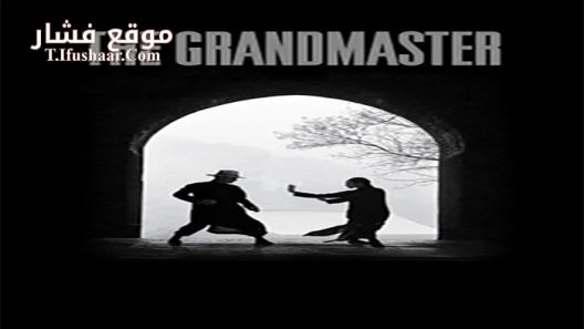 فيلم The Grandmaster 2013 مترجم