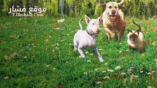 فيلم The Incredible Journey 1963 مترجم