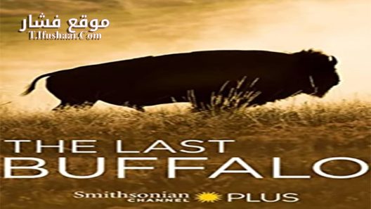 فيلم The Last Buffalo 2017 مترجم