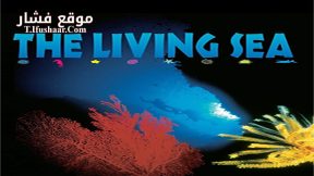 فيلم The Living Sea 1995 مترجم