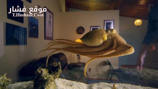 فيلم The Octopus in My House 2019 مترجم