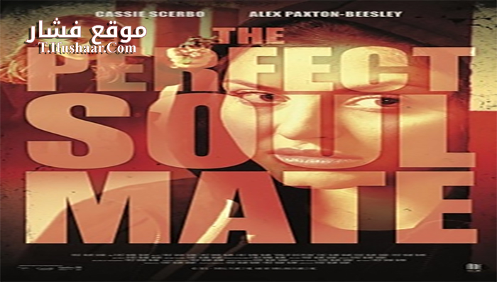 فيلم The Perfect Soulmate 2017 مترجم