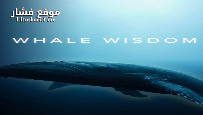 فيلم Whale Wisdom 2019 مترجم