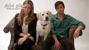 فيلم Who Gets the Dog 2016 مترجم