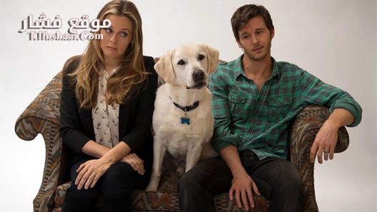 فيلم Who Gets the Dog 2016 مترجم