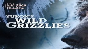 فيلم Yukons Wild Grizzlies 2021 مترجم