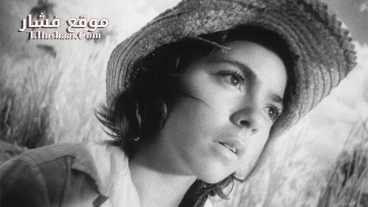 فيلم i am cuba 1964 مترجم