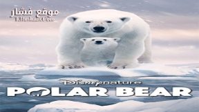 فيلم polar bear 2022 مترجم