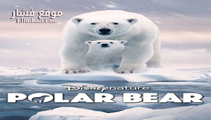 فيلم polar bear 2022 مترجم