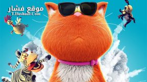 فيلم spy cat 2019 مترجم