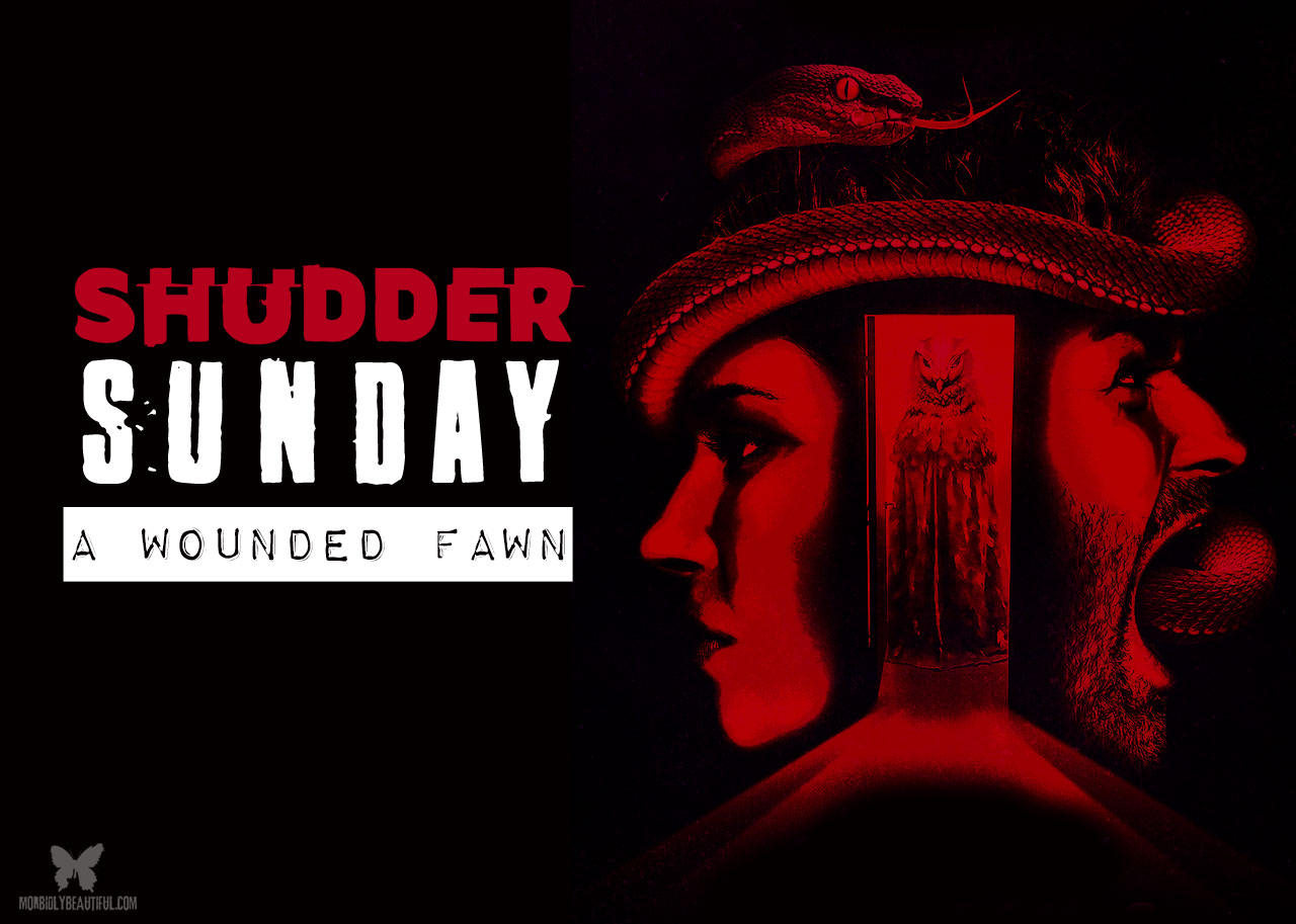 فيلم A Wounded Fawn 2022 مترجم