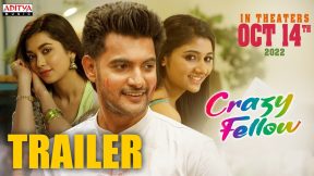 فيلم Crazy Fellow 2022 مترجم
