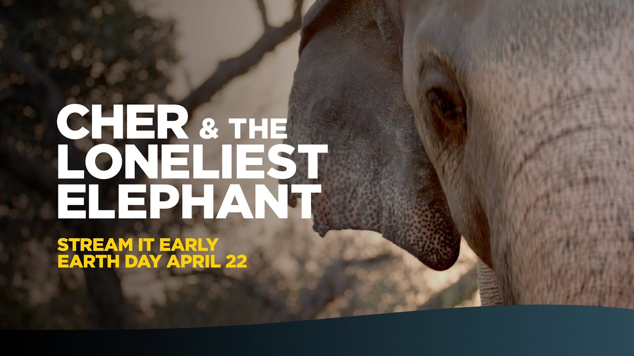 فيلم The Elephant Whisperers 2022 مترجم