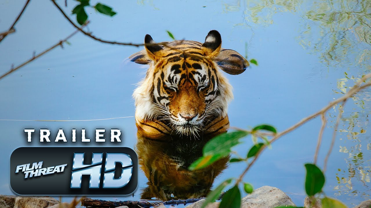 فيلم Tiger 24 2022 مترجم