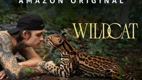 فيلم Wildcat 2022 مترجم