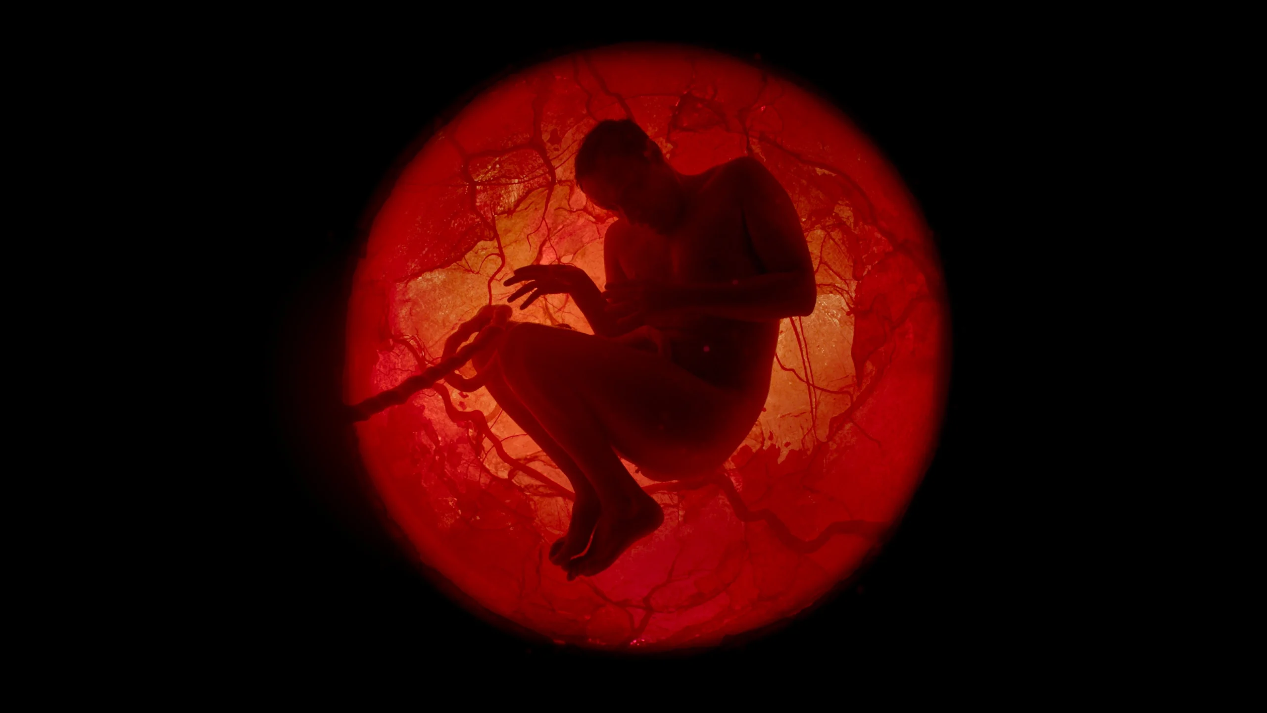 فيلم A Whole Lifetime with Jamie Demetriou 2023 مترجم