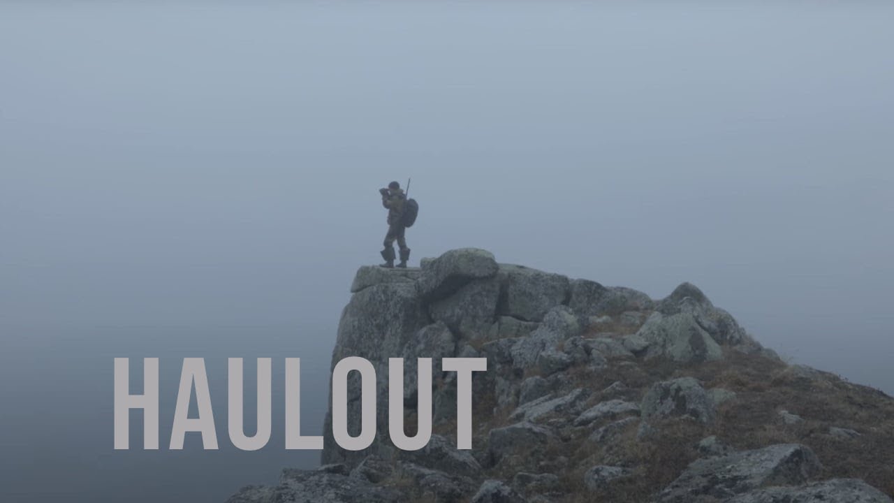 فيلم Haulout 2022 مترجم