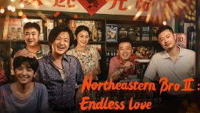 فيلم The Northeastern Bro 2: Endless Love 2023 مترجم