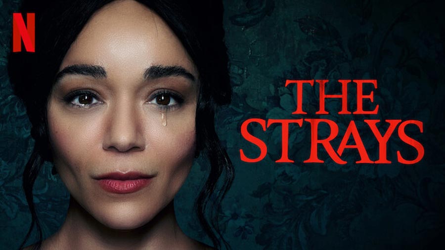 فيلم The Strays 2023 مترجم