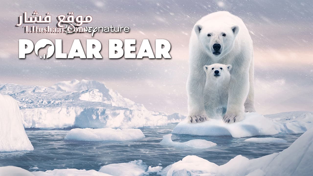 فيلم Polar Bears 2020 مترجم