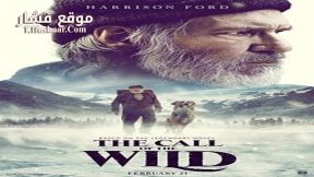 فيلم The Phone of the Wind 2020 مترجم