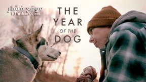 فيلم The Year of the Dog 2022 مترجم