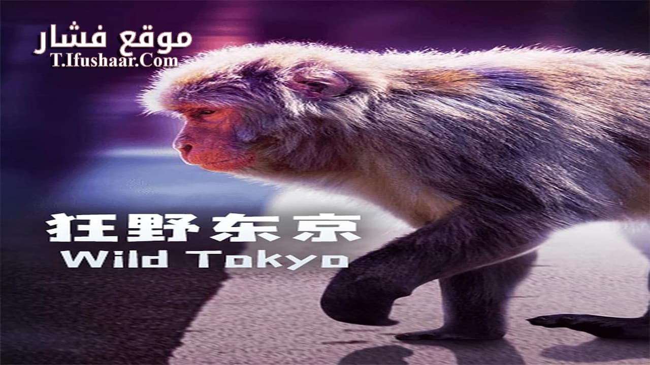 فيلم Wild Tokyo 2020 مترجم