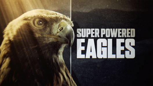 فيلم Super Powered Eagles 2020 مترجم