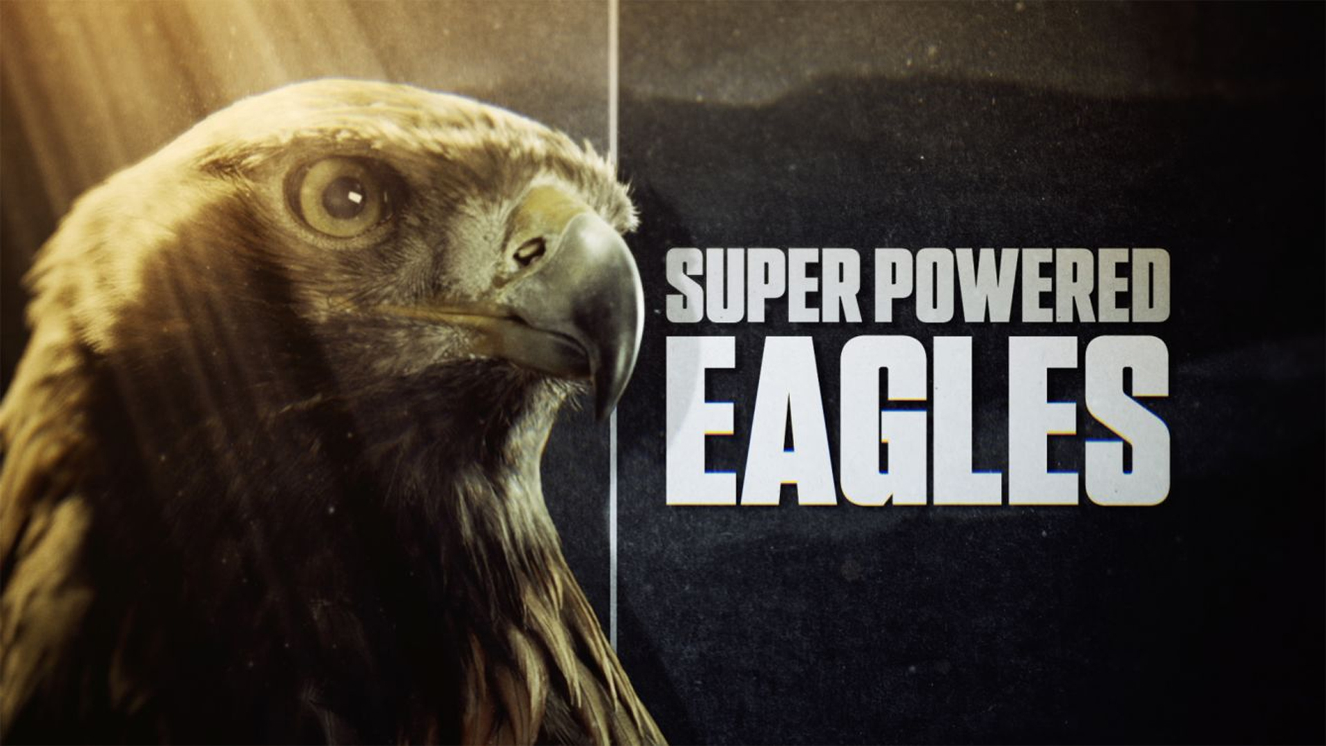فيلم Super Powered Eagles 2020 مترجم