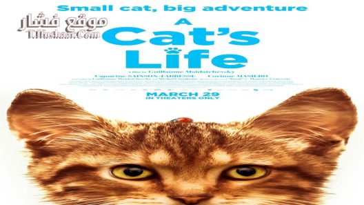 فيلم Mon chat et moi, la grande aventure de Rroû 2023 مترجم