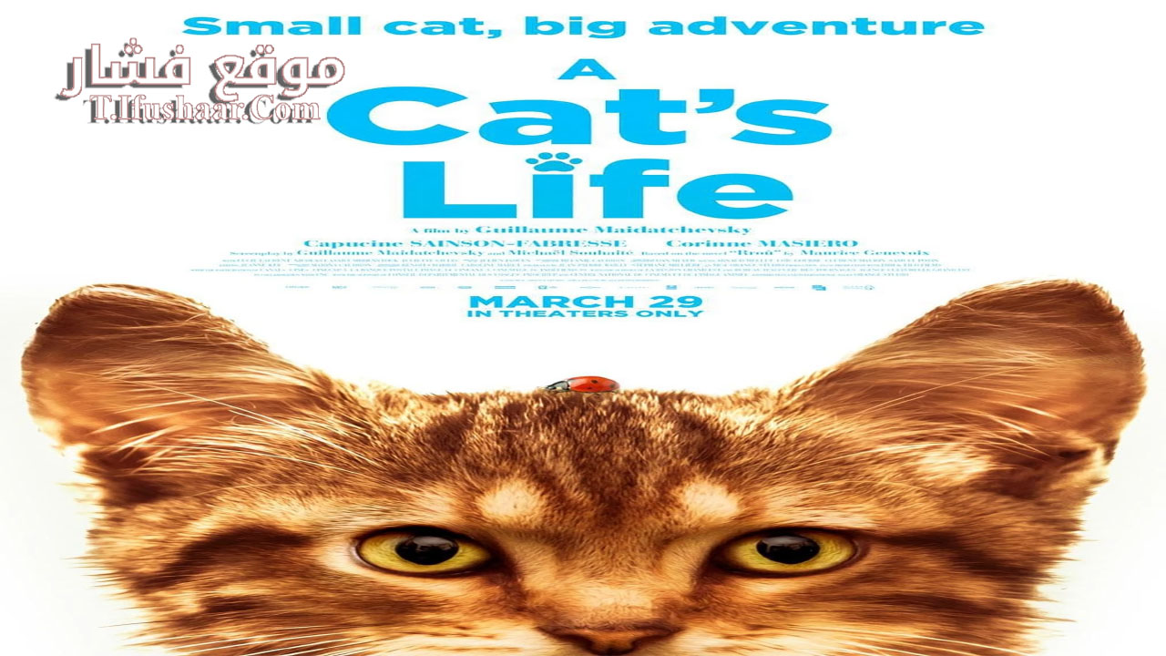 فيلم Mon chat et moi, la grande aventure de Rroû 2023 مترجم