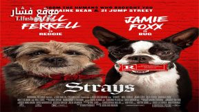 فيلم Strays 2023 مترجم