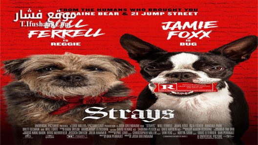 فيلم Strays 2023 مترجم