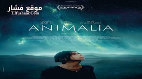 فيلم Animalia 2023 مترجم