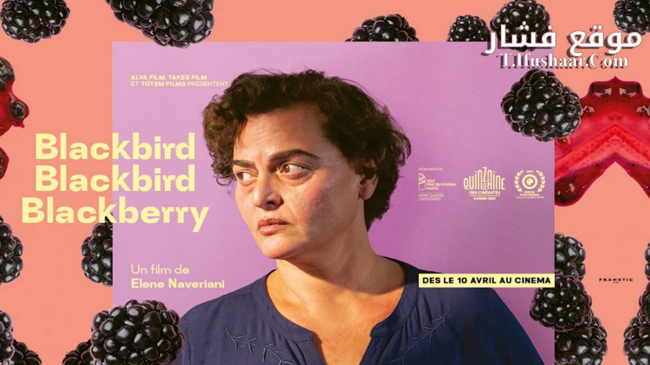 فيلم Blackbird Blackbird Blackberry 2023 مترجم